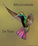 Logo Kolibri